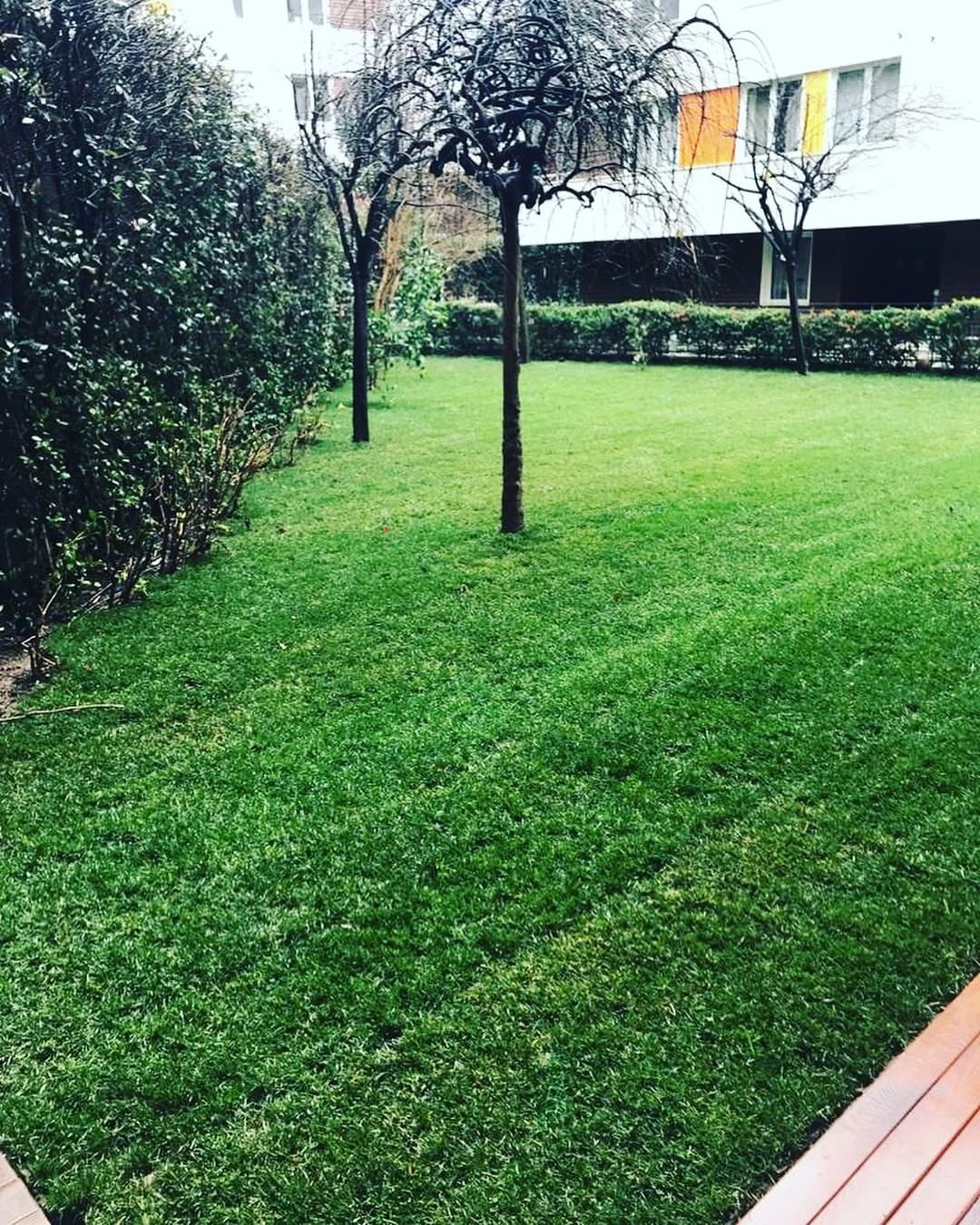 Saha Çalışması 3